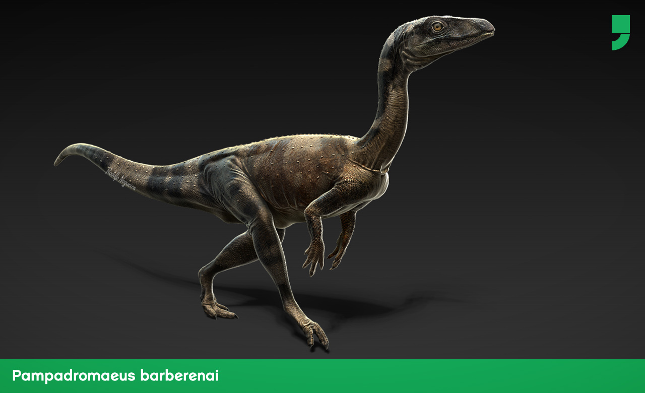 Com 50 centímetros de altura e 1,20 metro de comprimento, esse dino, que foi descoberto no RS (daí o nome, Pampa + dromaeus, do grego "corredor").