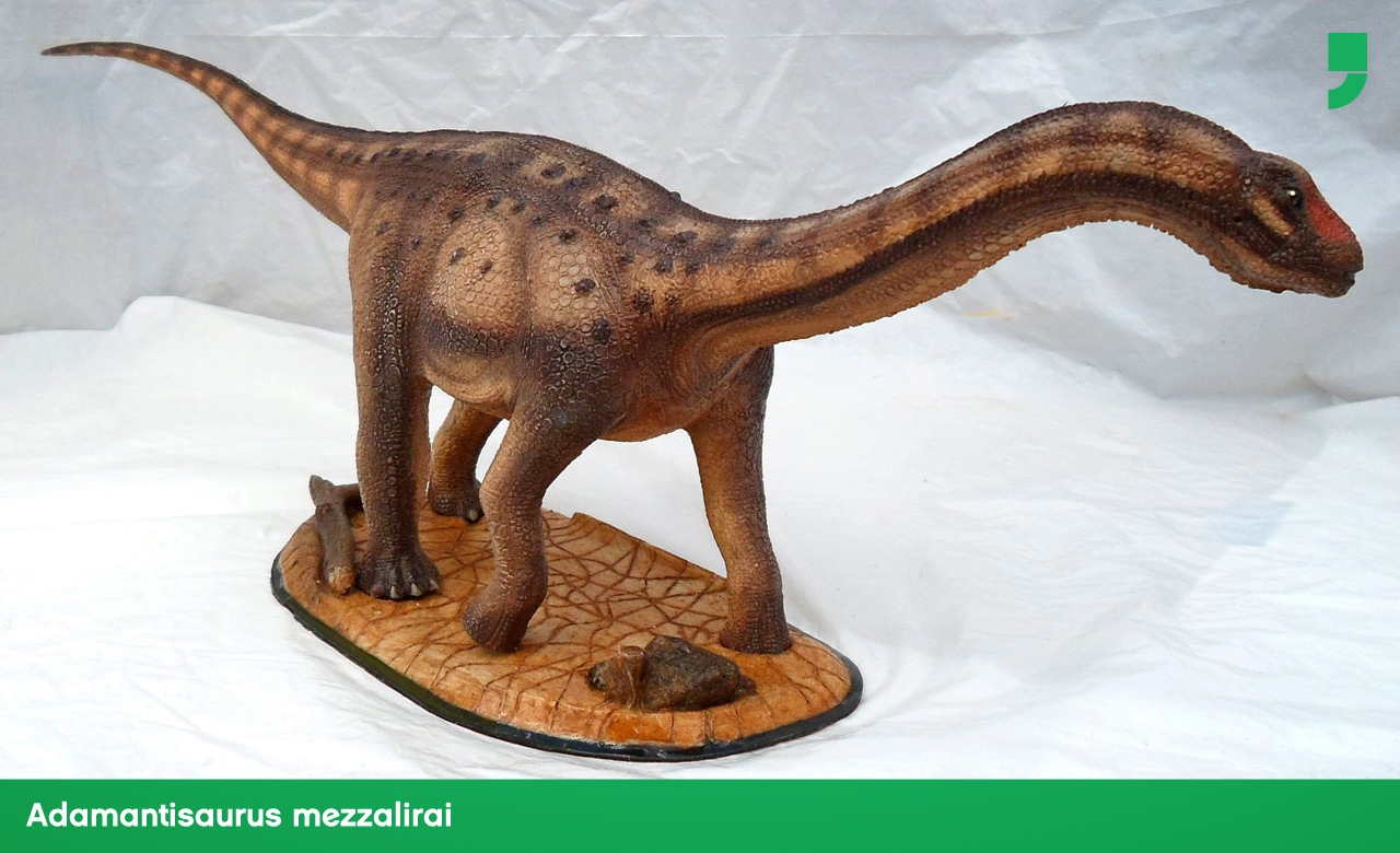 Supõe-se que era um animal muito grande, com pescoço e cauda longa. Foi descoberto em SP, na área geográfica conhecida como Formação Adamantina.