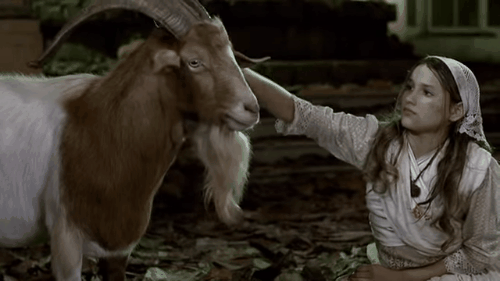 Curiosidade: foi nesse mesmo filme que <b>Sasha</b> gravou com um bode.