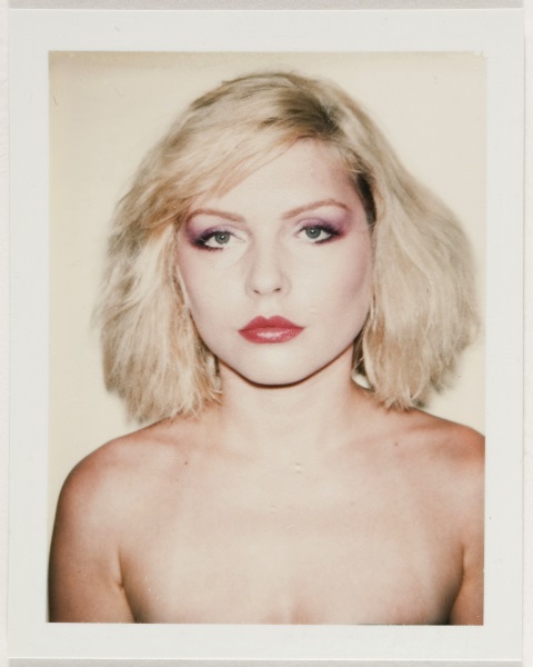 Nas artes plásticas, Debbie também foi musa, principalmente do pai da Pop Art, Andy Warhol, que a fotografou em sua série de polaróides de celebridades