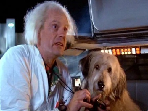 Na versão original do roteiro, o personagem de Christopher Lloyd se chamava Professor Brown (e não Doc), e em vez do cachorro Einstein ele tinha um chimpanzé de estimação chamado Shemp.