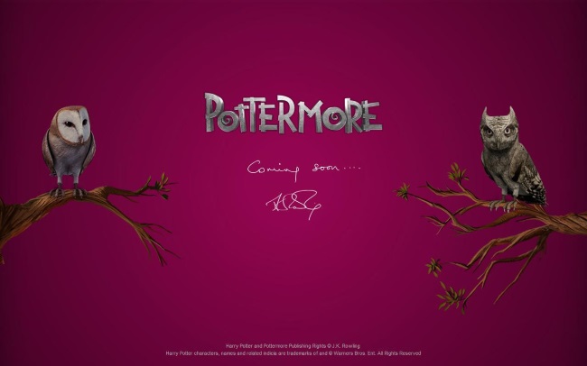 Em 2011, a escritora lançou o site Pottermore, onde os fãs da saga   de Harry Potter podem se comunicar, ter sua varinha mágica e   conhecer detalhes sobre o universo Potter que não estão nos livros