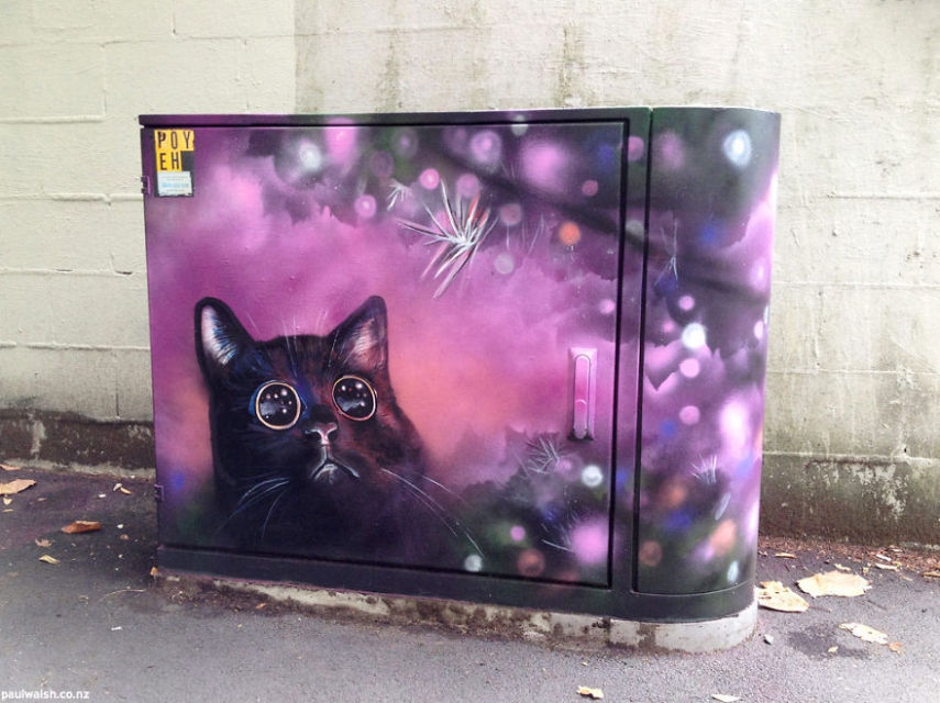 Paul Walsh conseguiu permissão para mostrar sua arte nas ruas de Auckland, na Nova Zelândia
