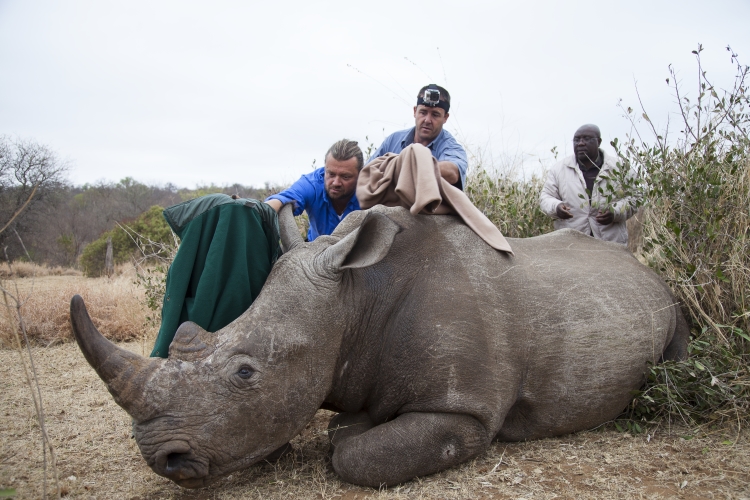 Na segunda temporada do programa da Nat Geo, o biólogo viaja à África para descobrir animais e culturas diferentes