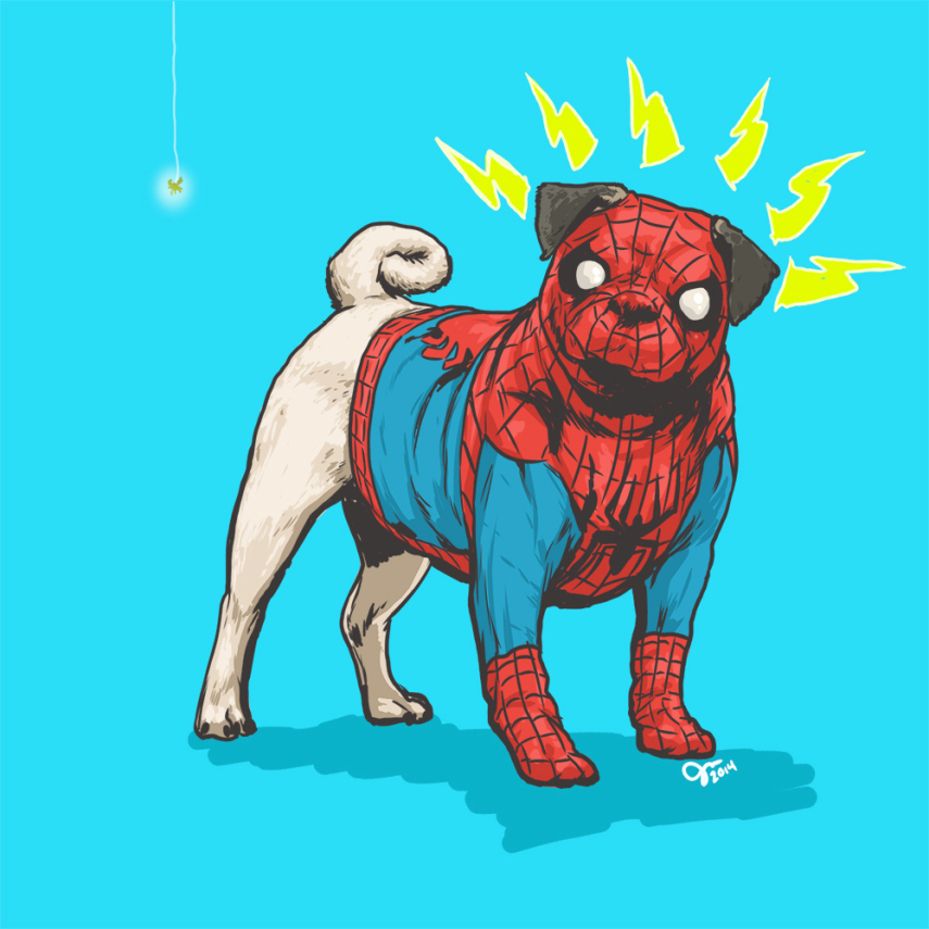 Josh Lynch, de Minnesota, nos EUA, colocou uniforme de heróis e vilões da Marvel em cães