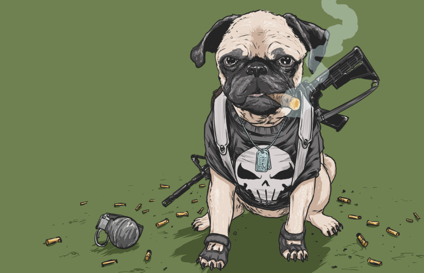 Josh Lynch, de Minnesota, nos EUA, colocou uniforme de heróis e vilões da Marvel em cães