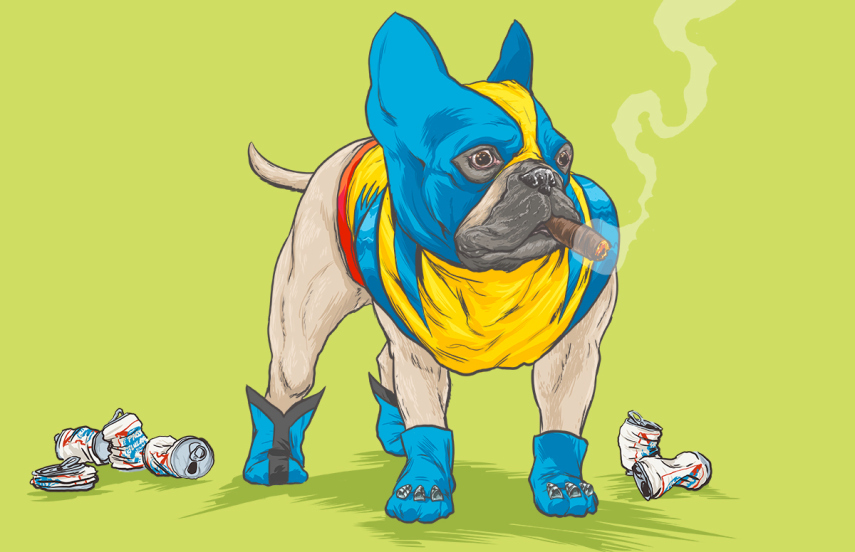 Josh Lynch, de Minnesota, nos EUA, colocou uniforme de heróis e vilões da Marvel em cães