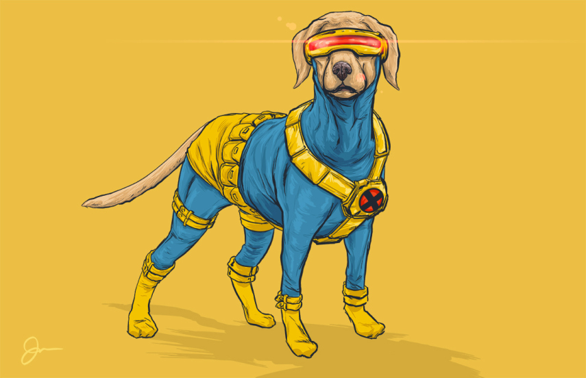 Josh Lynch, de Minnesota, nos EUA, colocou uniforme de heróis e vilões da Marvel em cães