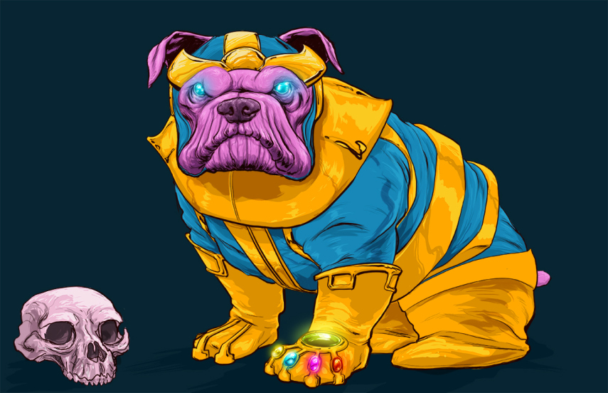 Josh Lynch, de Minnesota, nos EUA, colocou uniforme de heróis e vilões da Marvel em cães