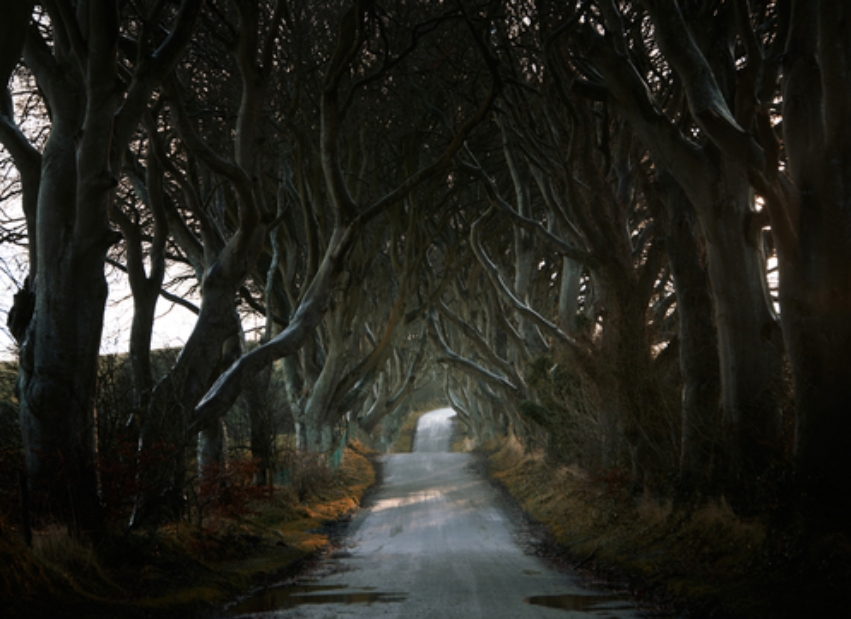 Essa foto até parece o caminho errado que vai para o castelo da Fera em A Bela e a Fera, não? Mas é uma das estradas fotografadas por Andy em seu projeto Roads que busca as estradas menos utilizadas no mundo