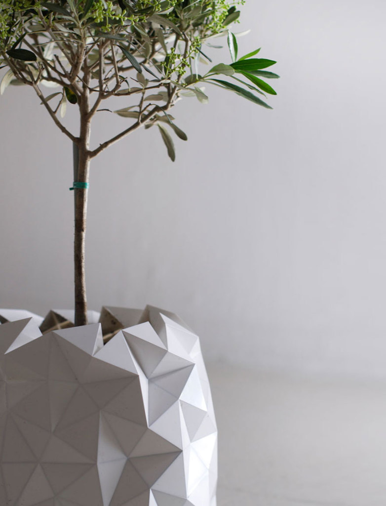 O vaso, criado pelo estúdio londrino Ayaskan, se desdobra à medida que a planta cresce