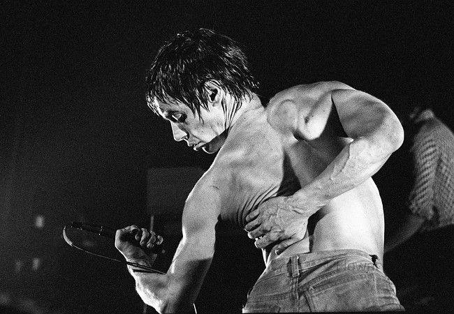 Iggy Pop