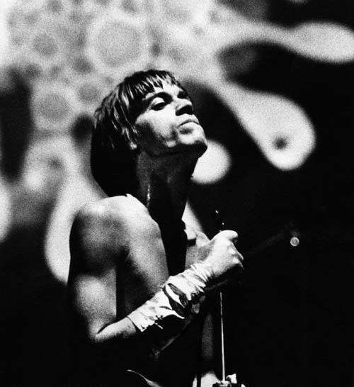 Iggy Pop