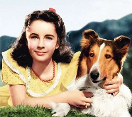 Contracenando com o cão Lassie, Liz Taylor roubava a cena e tornou-se uma ninfeta que perpetuava a tradição de lolitas no cinema