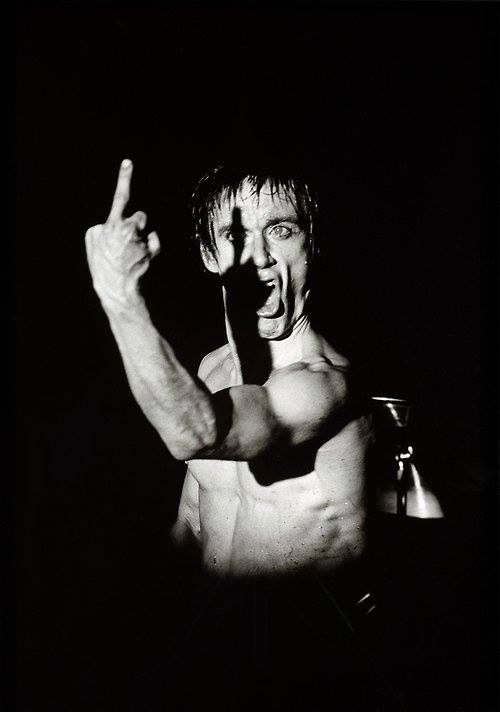 Iggy Pop