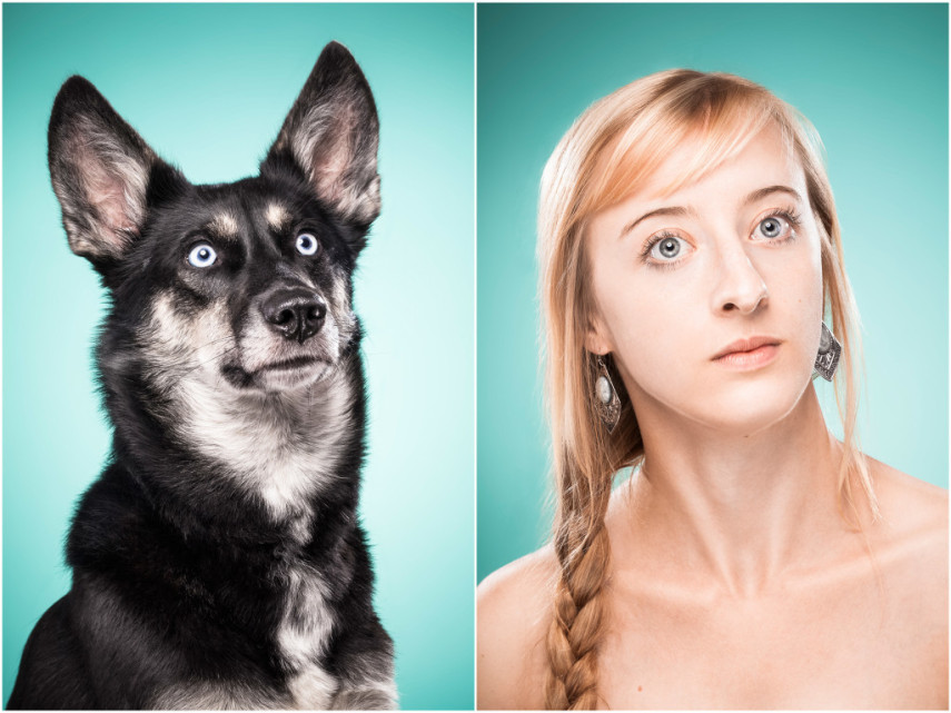 Fotógrafa desafio as pessoas a imitarem seus cães