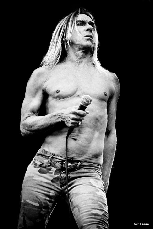 Iggy Pop