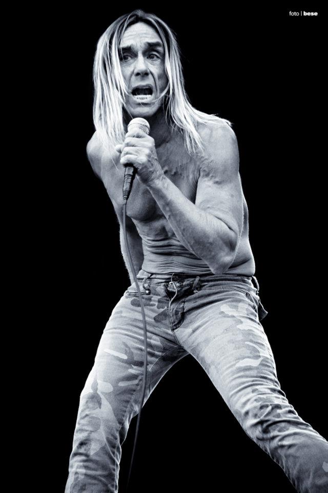 Iggy Pop