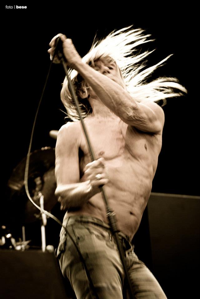 Iggy Pop