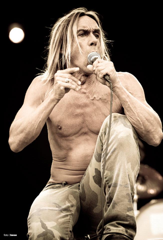 Iggy Pop