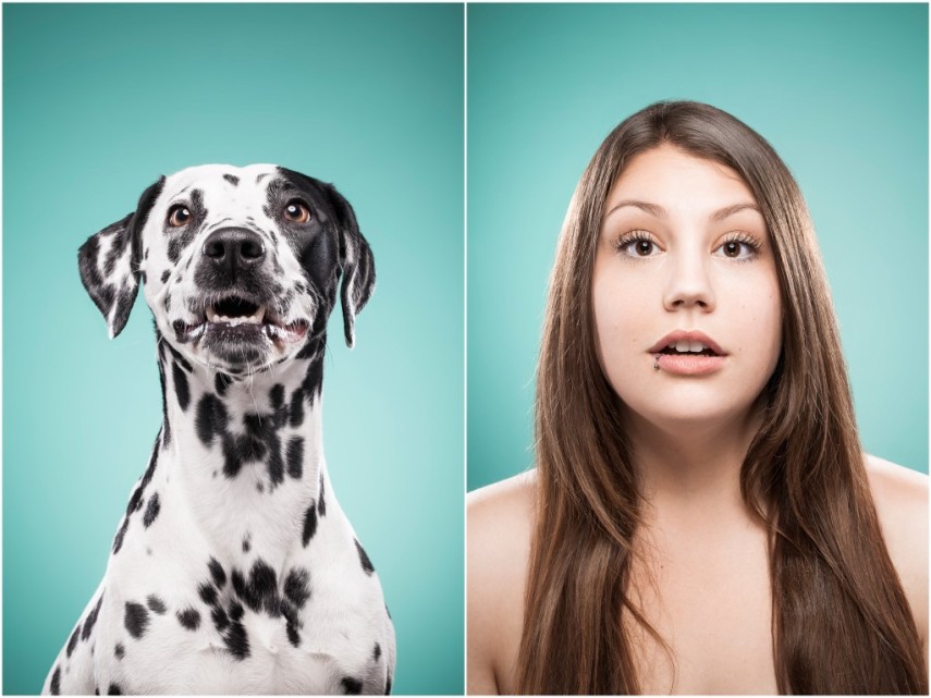 Fotógrafa desafio as pessoas a imitarem seus cães