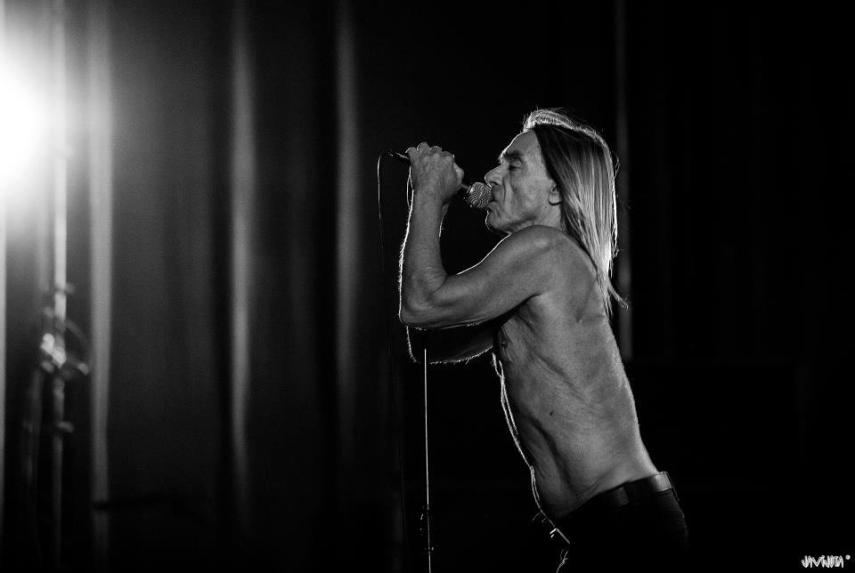 Iggy Pop