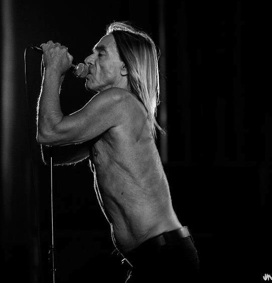 Iggy Pop