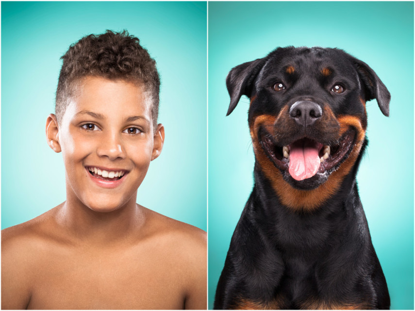 Fotógrafa desafio as pessoas a imitarem seus cães