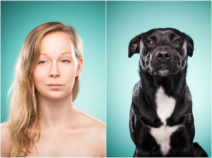 Fotógrafa desafio as pessoas a imitarem seus cães