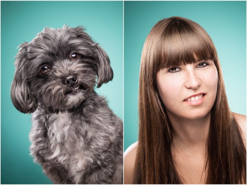 Fotógrafa desafio as pessoas a imitarem seus cães