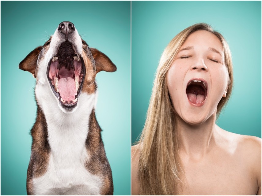 Fotógrafa desafio as pessoas a imitarem seus cães