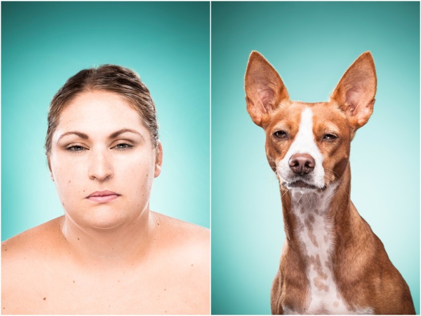 Fotógrafa desafio as pessoas a imitarem seus cães