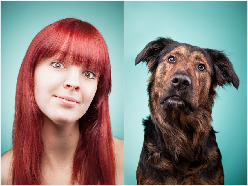 Fotógrafa desafio as pessoas a imitarem seus cães