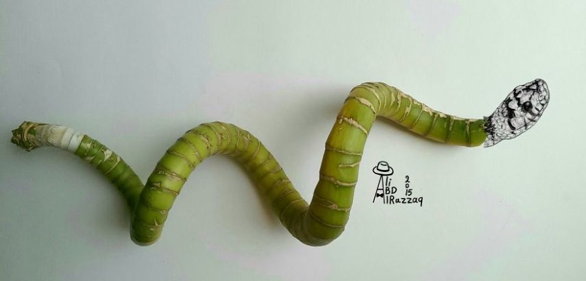 O artista iraquiano Ali Abd Al-Razzaq mistura objetos comuns com suas ilustrações