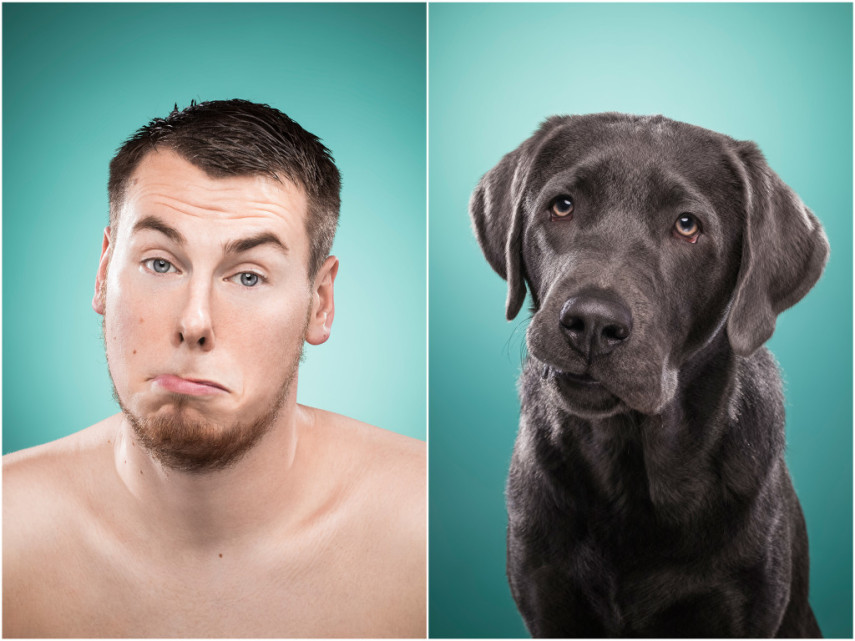 Fotógrafa desafio as pessoas a imitarem seus cães