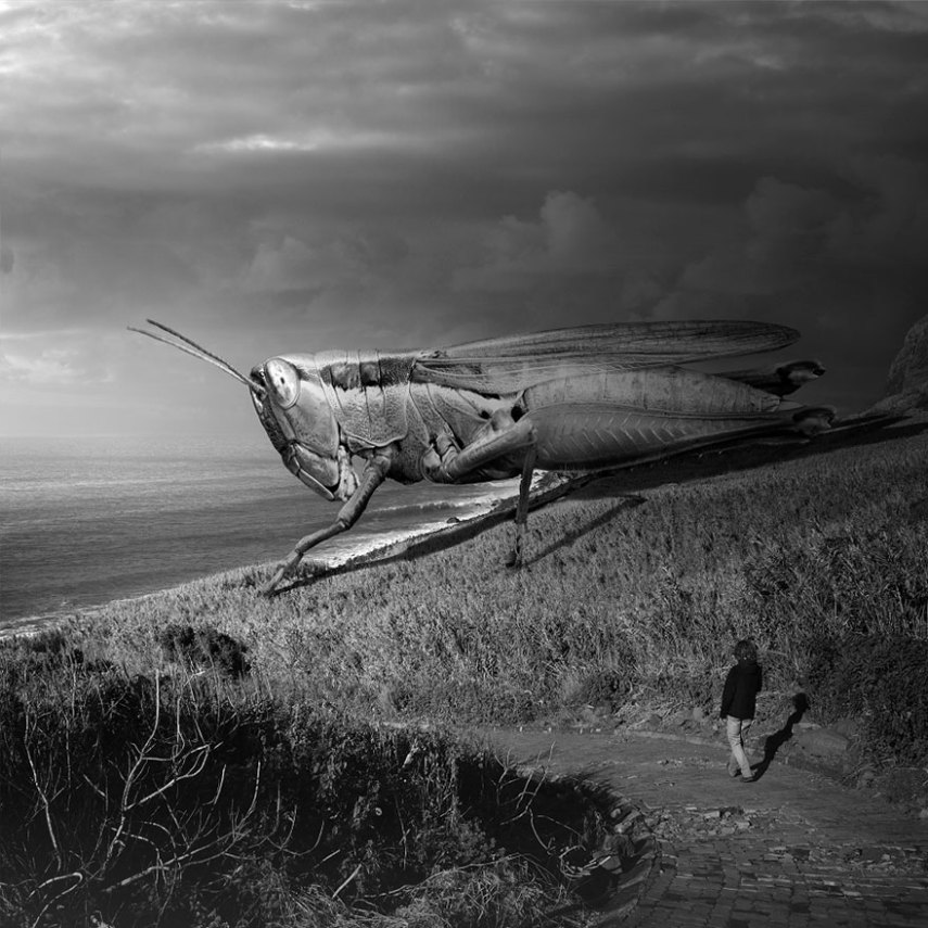 Fotógrafo faz manipulações e cria imagens surreais