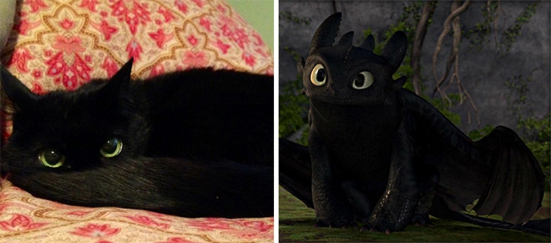 Um gato preto e Banguela, o dragão sem dentes de Como Treinar o Seu Dragão