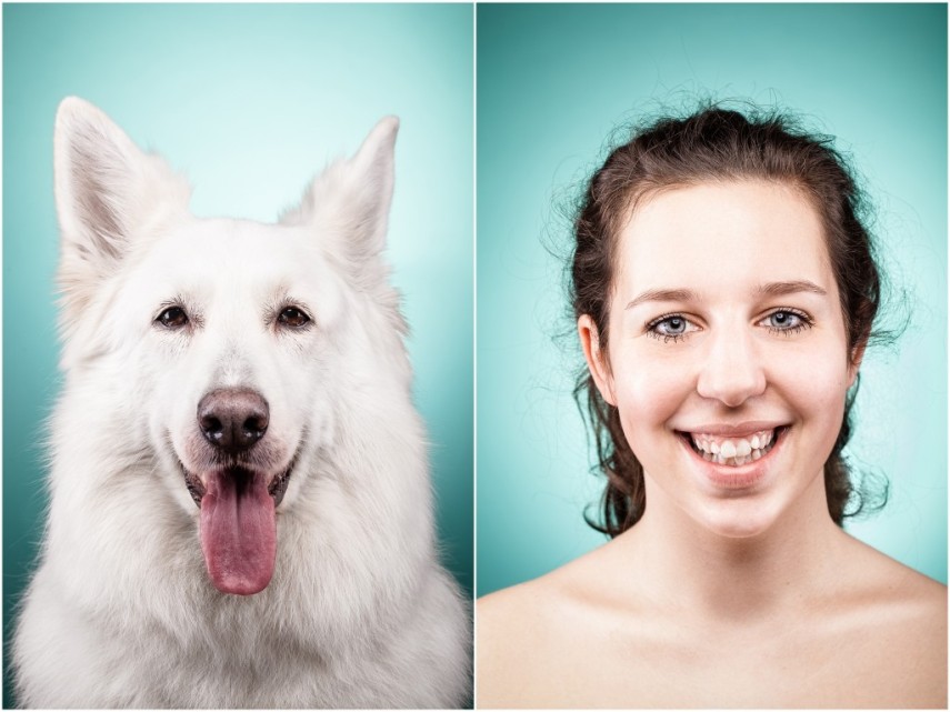 Fotógrafa desafio as pessoas a imitarem seus cães