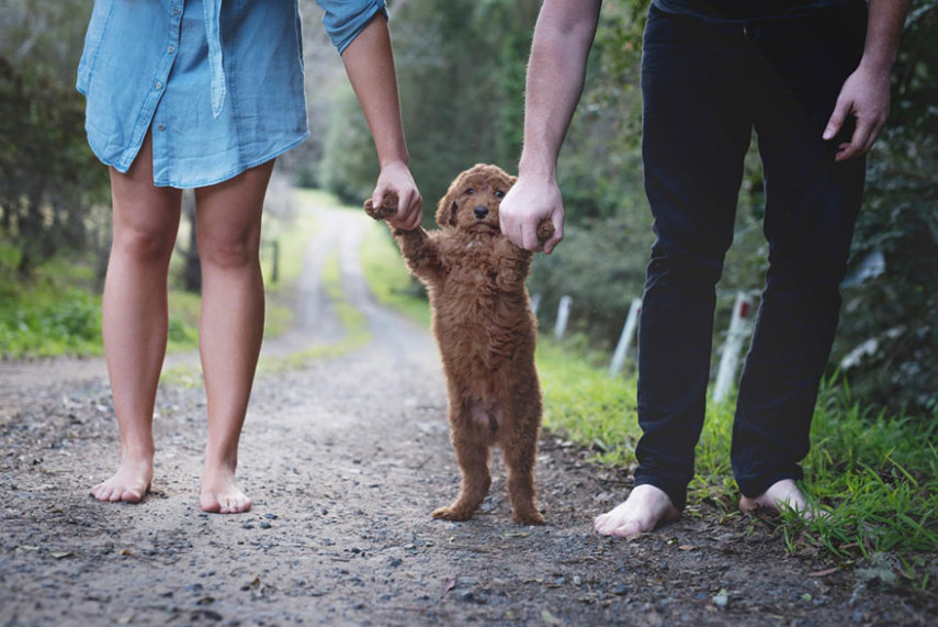 O casal Abby Lee e Matt Kay fizeram um ensaio com o cachorro deles