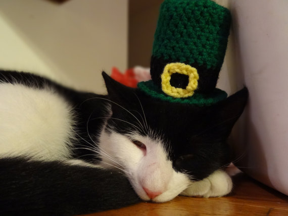 Americana faz chapéus, toucas e boinas de crochê para cães e gatos