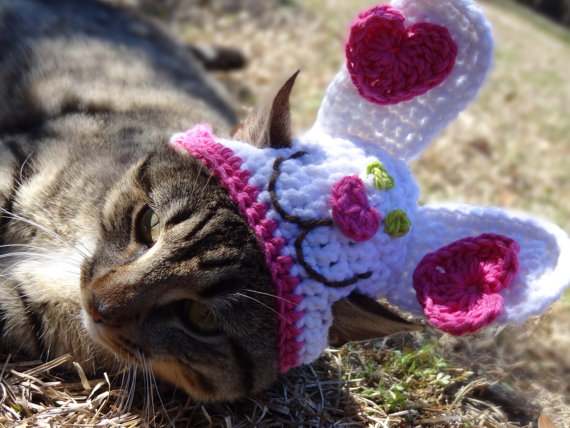 Americana faz chapéus, toucas e boinas de crochê para cães e gatos