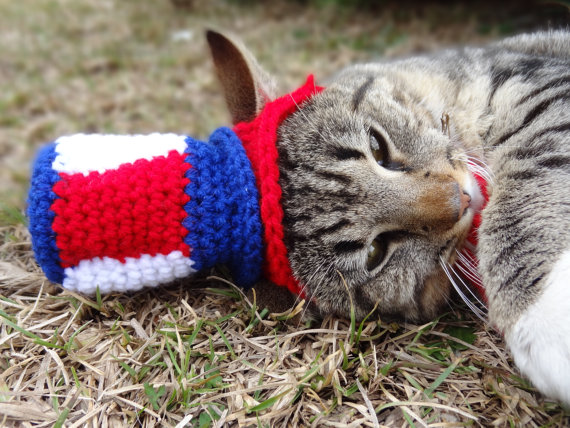 Americana faz chapéus, toucas e boinas de crochê para cães e gatos