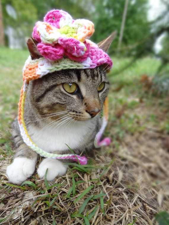 Americana faz chapéus, toucas e boinas de crochê para cães e gatos