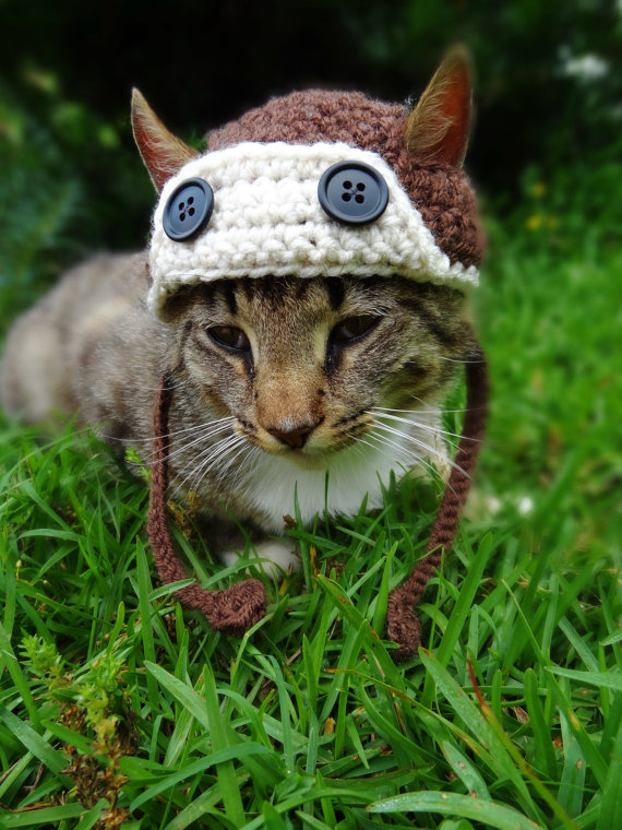 Americana faz chapéus, toucas e boinas de crochê para cães e gatos