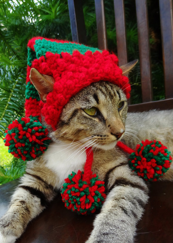 Americana faz chapéus, toucas e boinas de crochê para cães e gatos