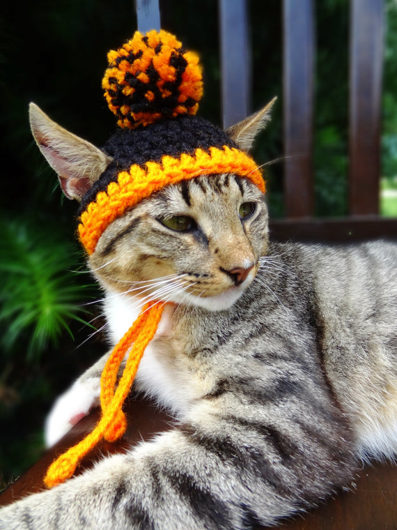 Americana faz chapéus, toucas e boinas de crochê para cães e gatos