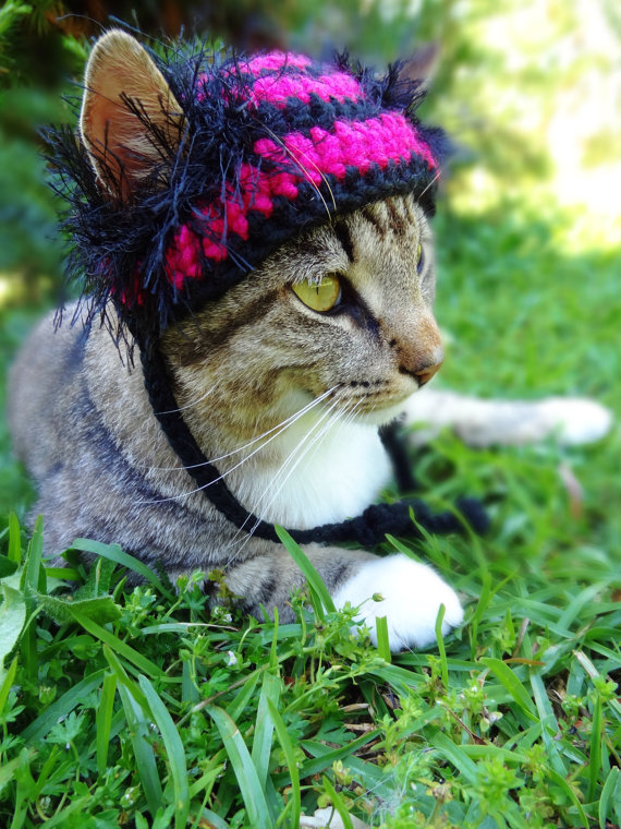 Americana faz chapéus, toucas e boinas de crochê para cães e gatos