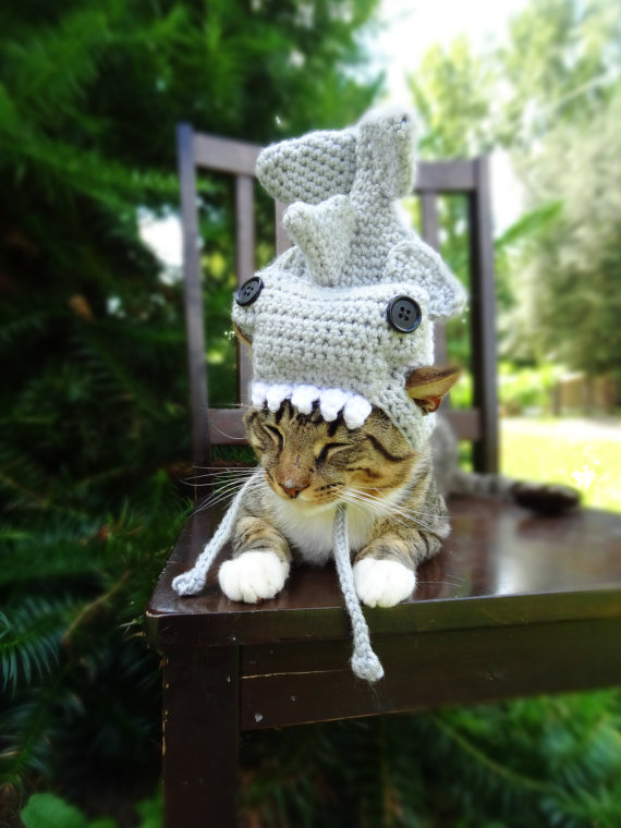 Americana faz chapéus, toucas e boinas de crochê para cães e gatos