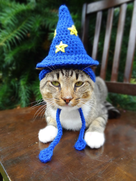 Americana faz chapéus, toucas e boinas de crochê para cães e gatos