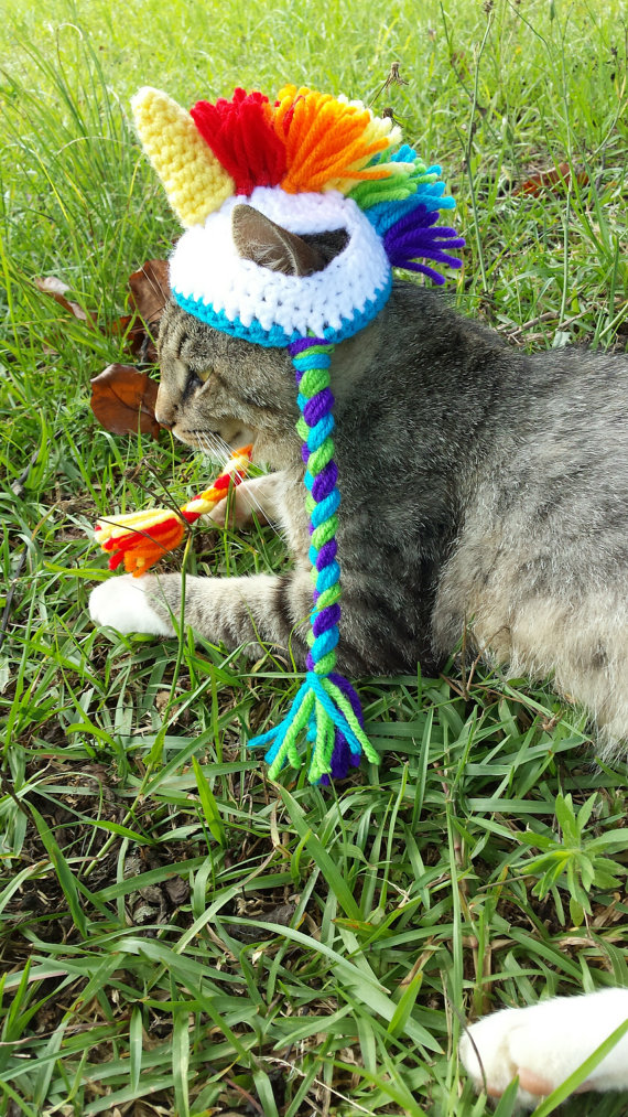 Americana faz chapéus, toucas e boinas de crochê para cães e gatos